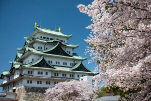 Cherry Blossom Nagoya Castle