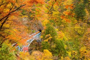 Autumn Leaves Kurobe Gorge