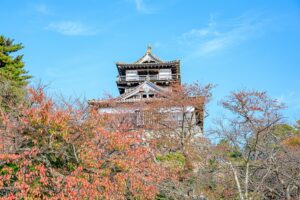Autumn Leaves Maruoka Castle