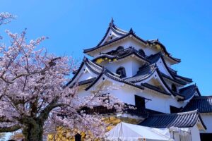 Hikone Castle Keep