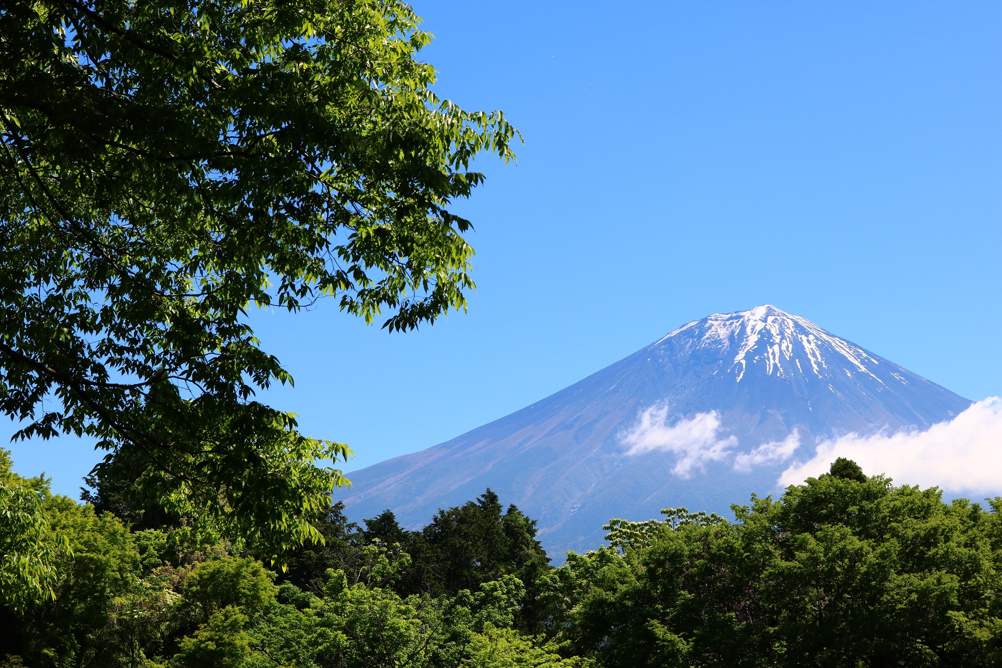 Mt. Fuji ／富士山（Shizuoka）