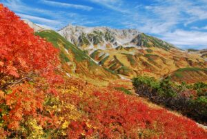 The Tateyama Kurobe Alpine Route Autumn Leaves