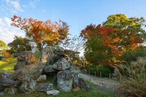 Nagoya Castle autumn leaves