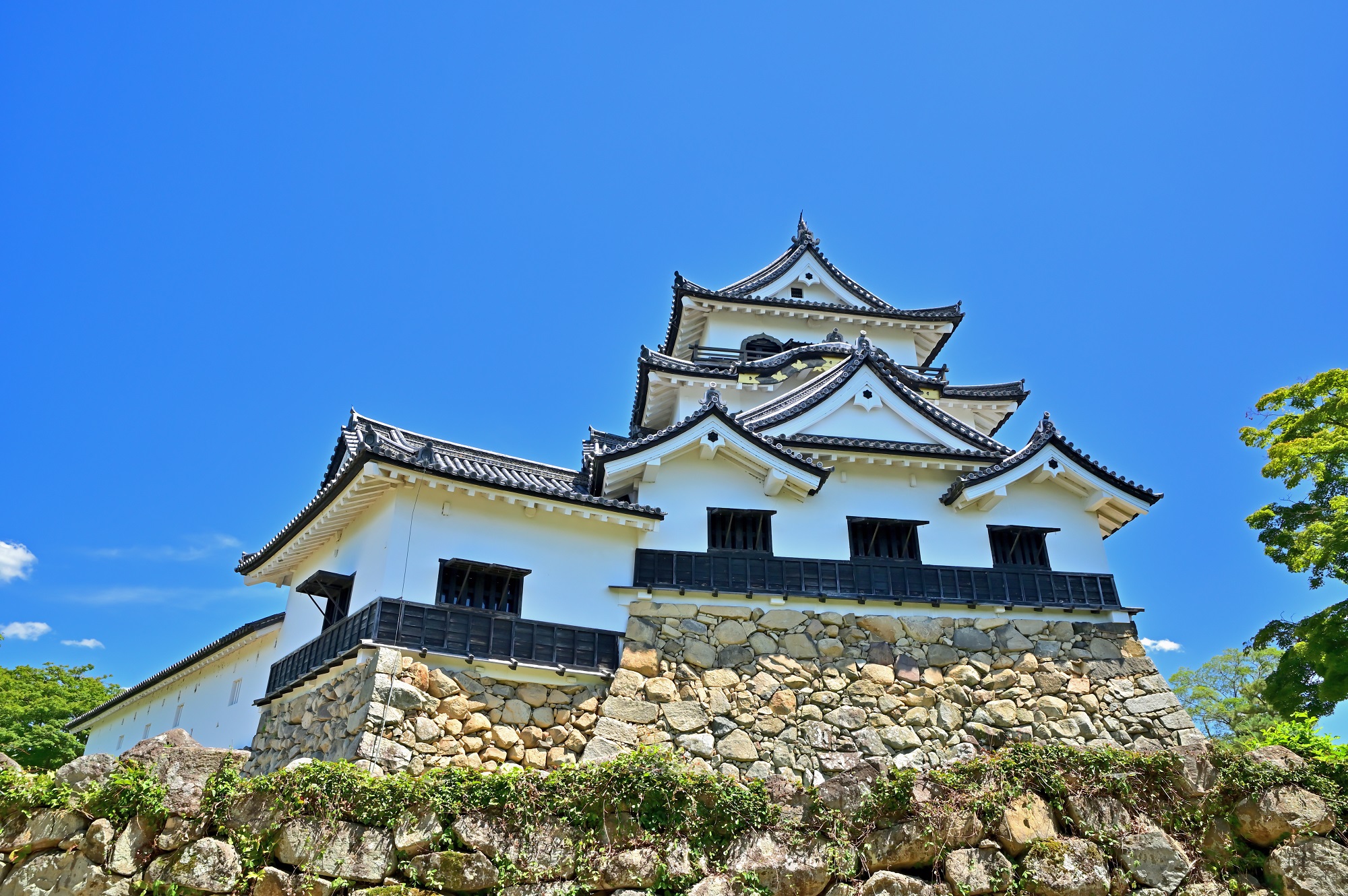 Hikone Castle／彦根城（Shiga）