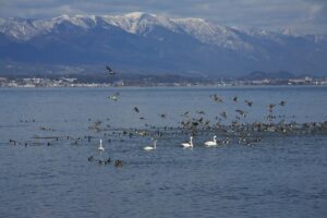 Lake Biwa