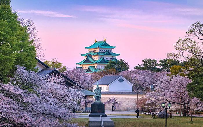 Spring at Nagoya Castle: “Nagoya Castle Spring Festival” Features Exclusive Openings of Important Cultural Properties and Extended Evening Hours